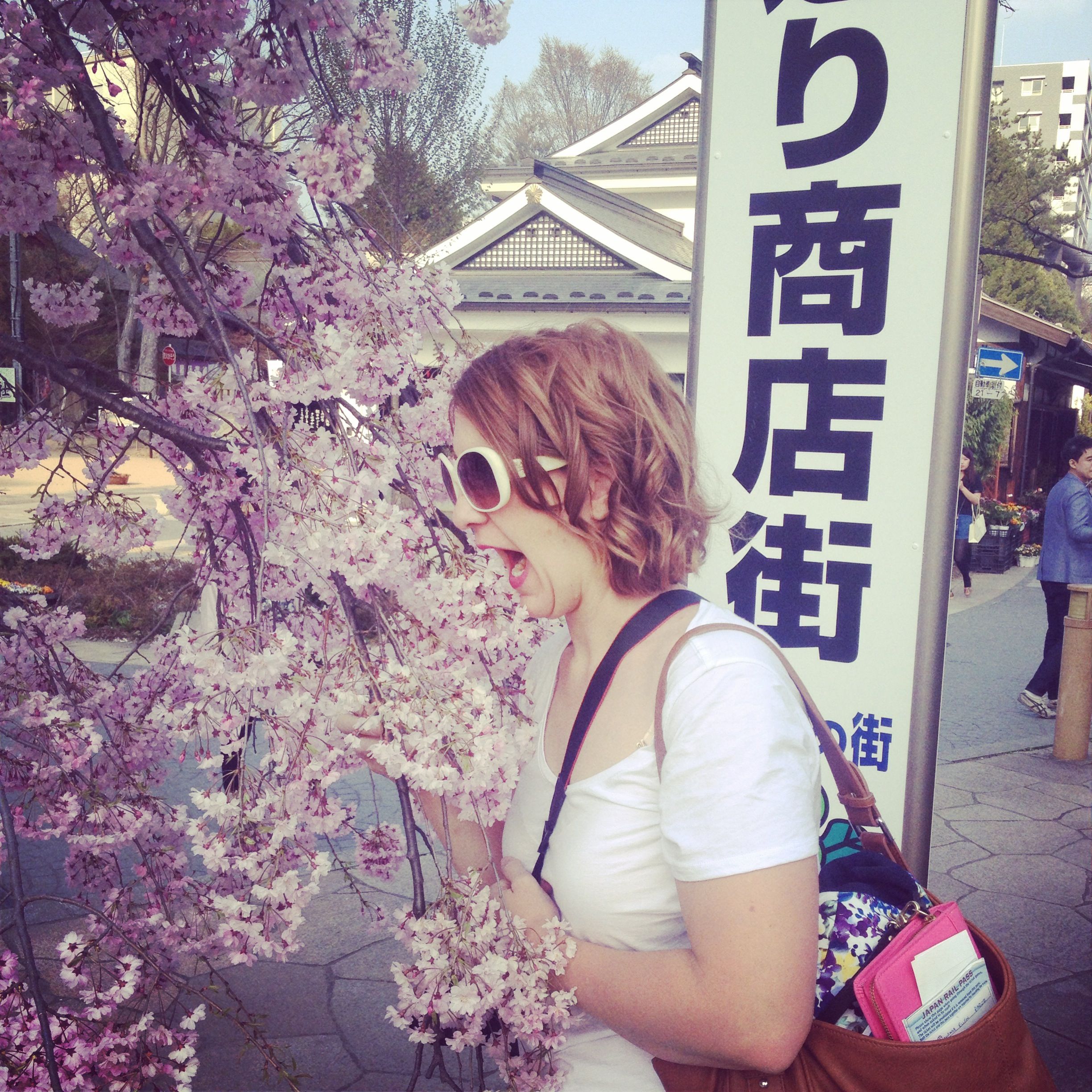 So. Many. Cherry. Blossoms.
